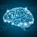 Adolescent Impulse Control Could be Fueled by Dopamine