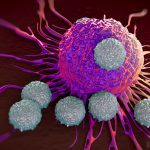 Turncoat T Cells: When Exhausted, Cancer-Fighting T Cells May Switch Sides
